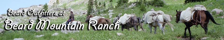 Beard Mountain Ranch