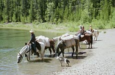 Wyoming Pack Trips at Beard Mountain Ranch