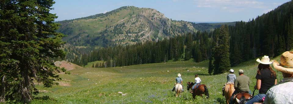 Wyoming Horseback Riding with Beard Mountain Ranch