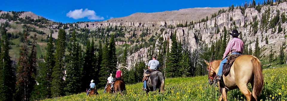 Wyoming Horseback Trail Ride with Beard Mountain Ranch